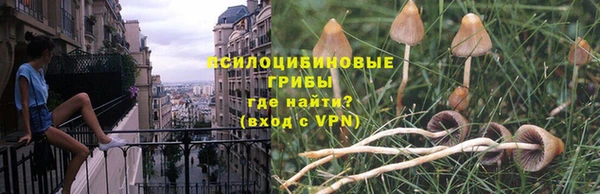 MDMA Бородино