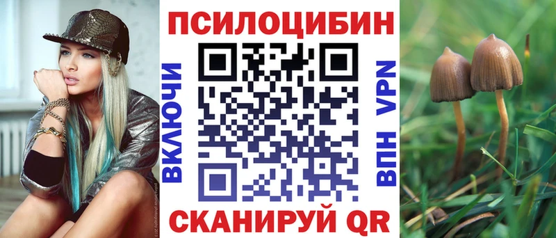 Галлюциногенные грибы прущие грибы  Купить  Солнечногорск 